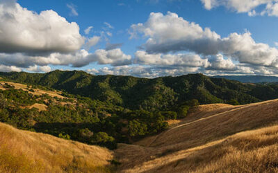 Save Mount Diablo